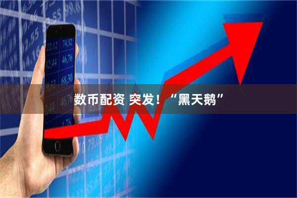 数币配资 突发！“黑天鹅”